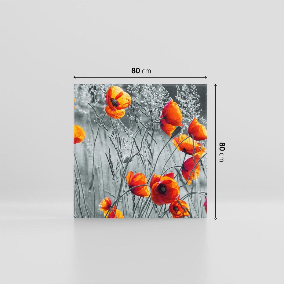 Obraz na płótnie 80x80 - Malownicza łąka - maki, mak