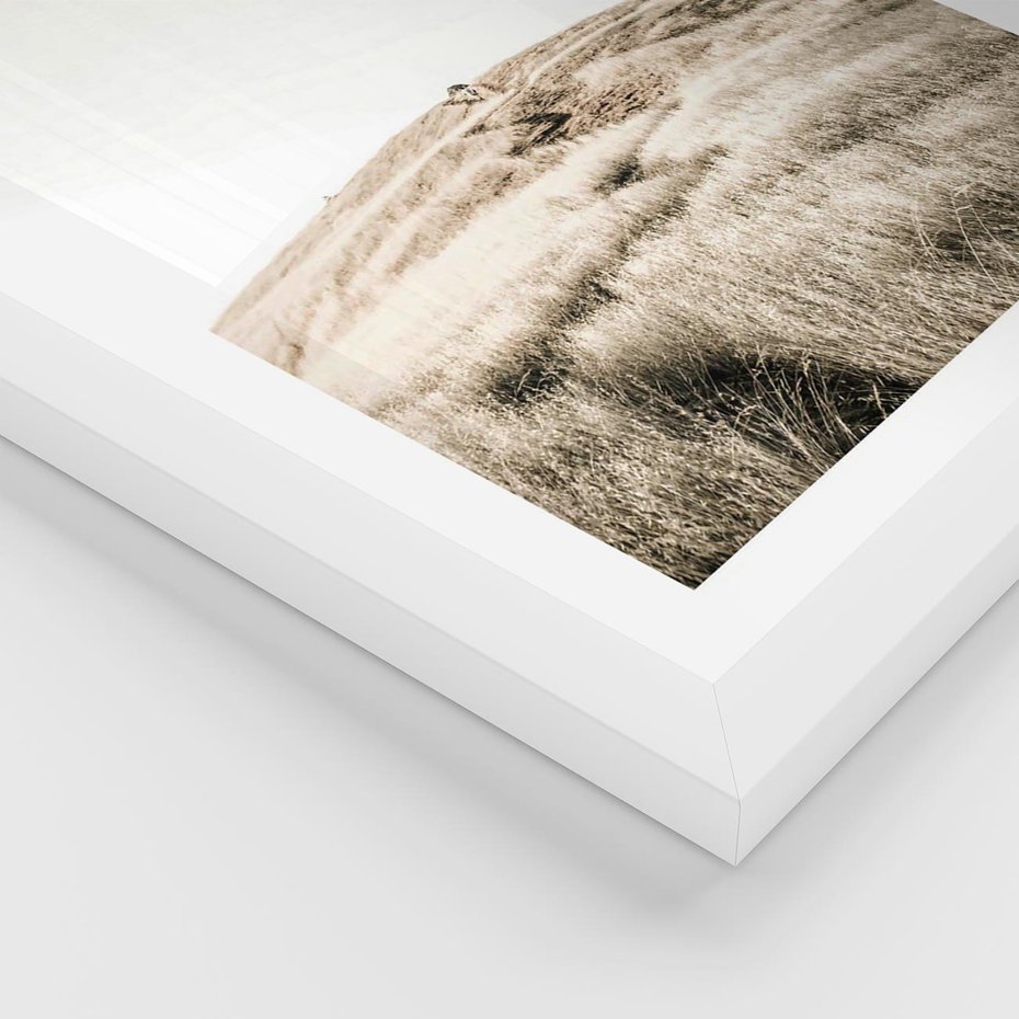 Plakat w ramie 30x40 - Wzgórze w Odcieniach Sepii - wzgórze, trawy - rama biała