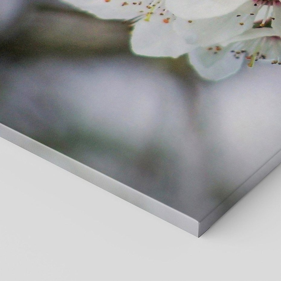 Obraz na płótnie 100x50 - Kwiatowa harmonia w tonacji pastelowej - kwiat, kwiaty