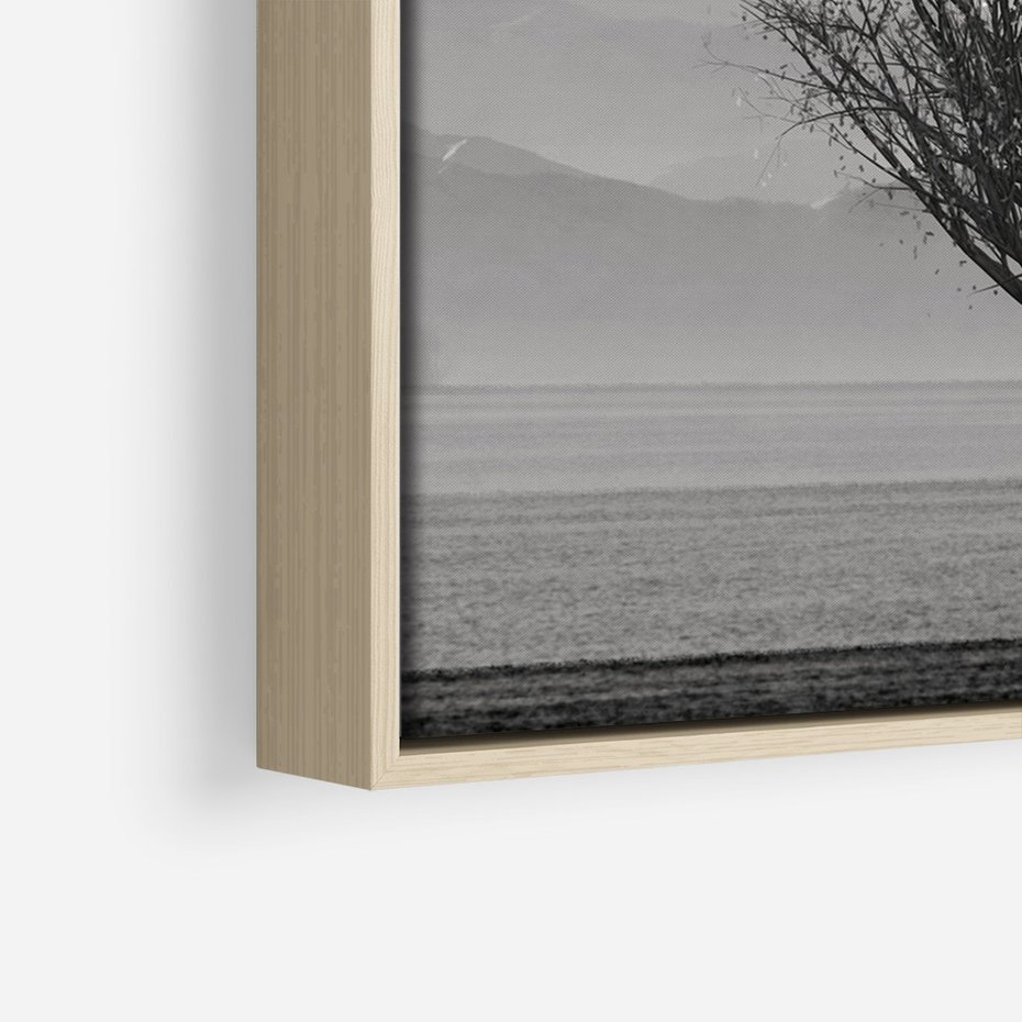 Obraz w ramie 80x120 - Samotne Drzewo - samotne drzewo w polu, czarno białe zdjęcie - rama drewno