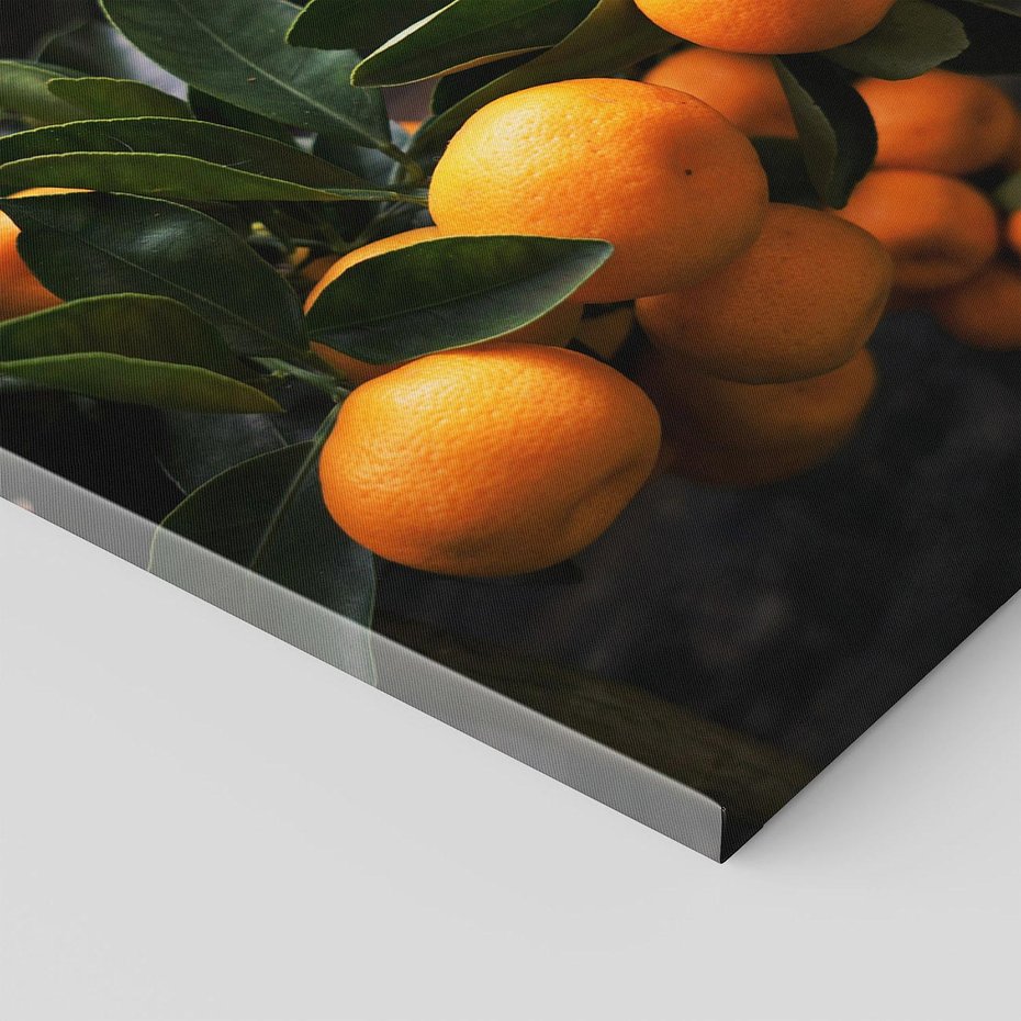 Obraz na płótnie 70x70 - Mandarynki Drzewko Urodzaju - mandarynki, drzewko