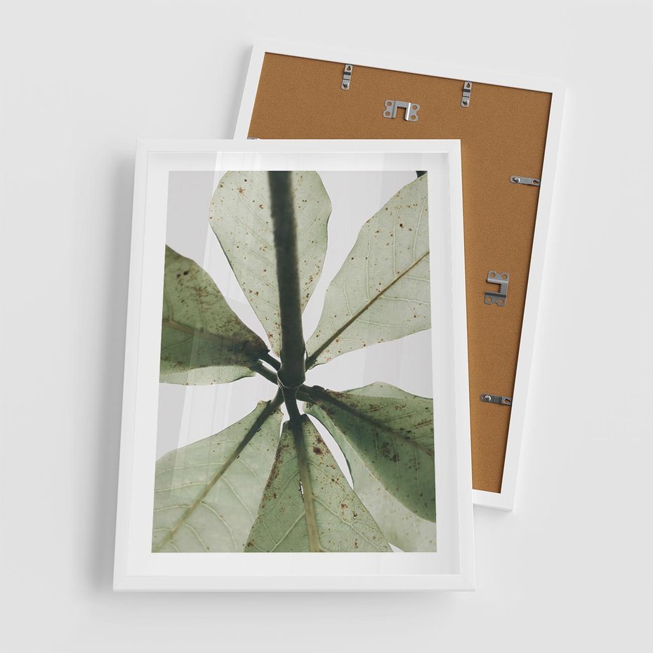 Plakat w ramie 50x70 - Jasna Zieleń w Makro - makro zdjęcie liści, jasna zieleń - rama biała