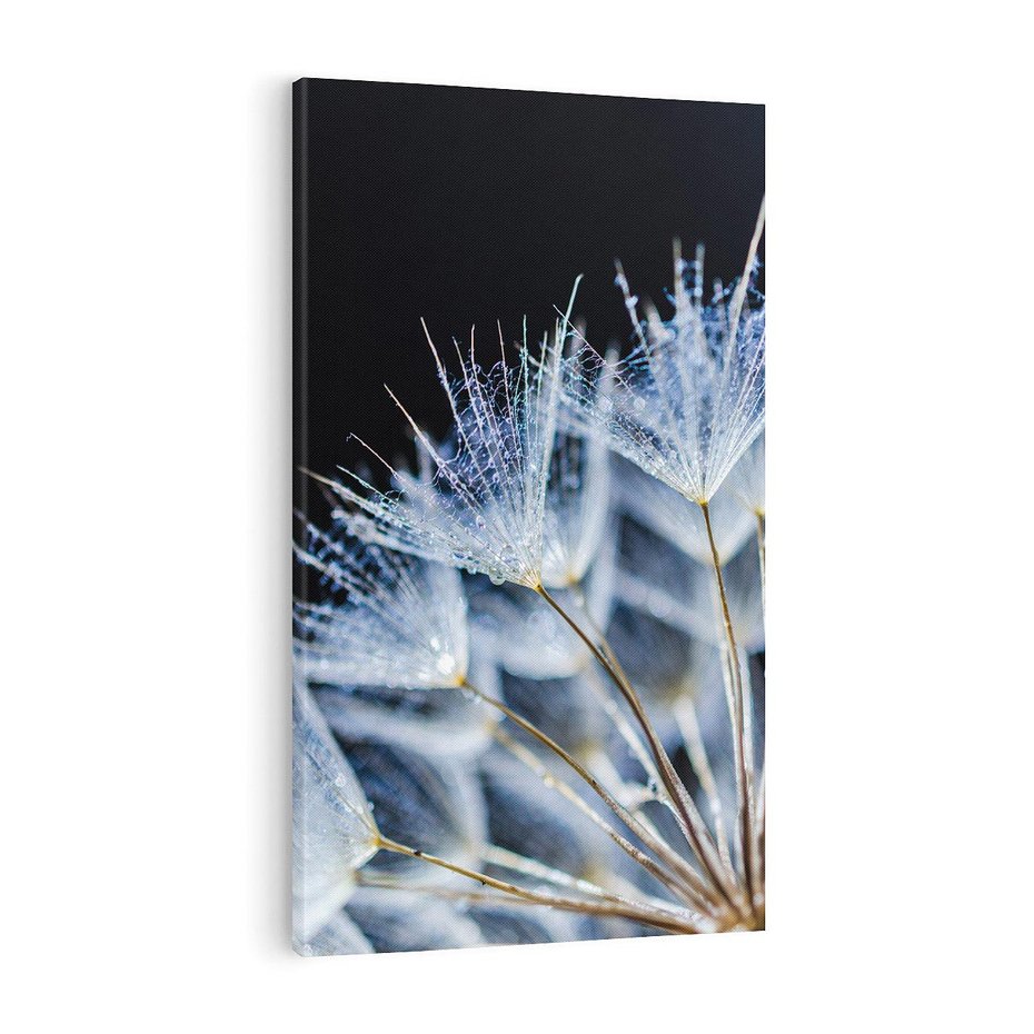 Obraz na płótnie 80x120 - Makro piękno dmuchawców - makro, dmuchawce