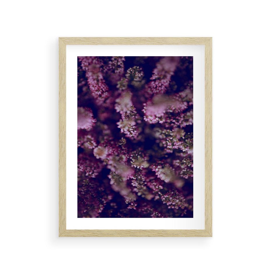 Plakat w ramie 30x40 - Wrzosowa Delikatność - wrzosy, kwiaty - rama drewno
