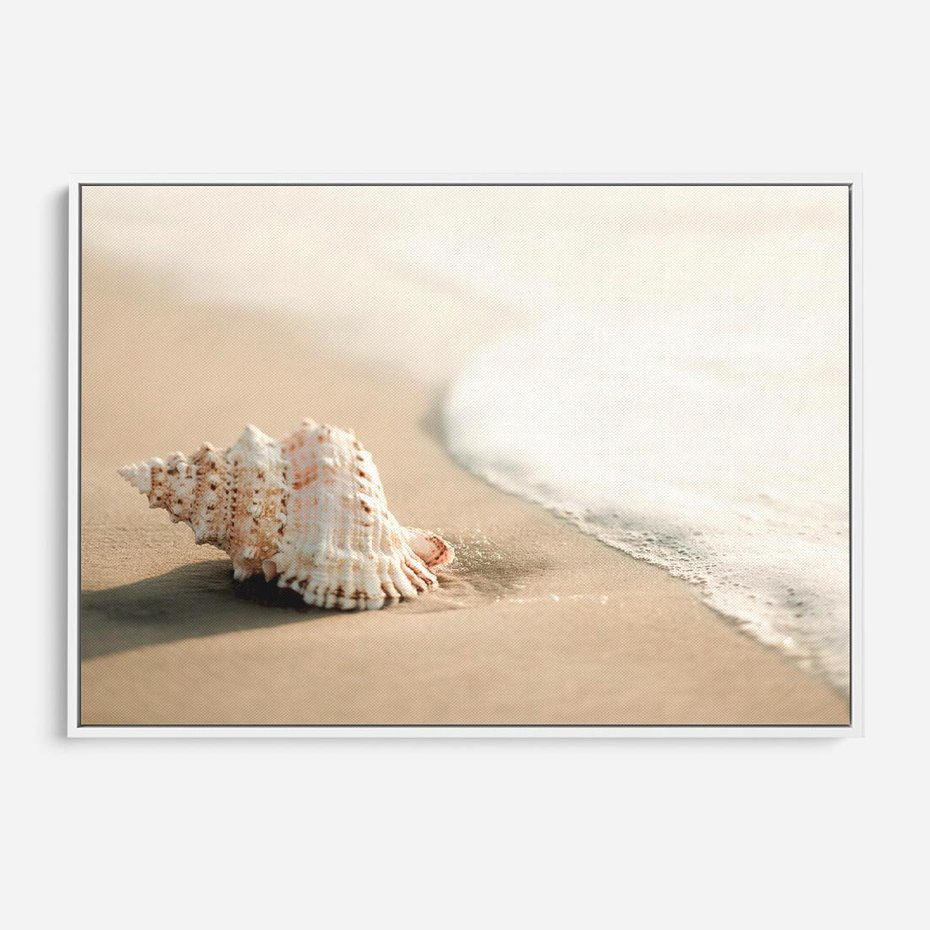 Obraz w ramie 120x80 - Urok plażowej muszelki - fotografia, muszla na plaży - rama biała
