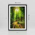 Plakat w ramie 50x70 - Współistnienie z naturą - drzewa, las - rama czarna