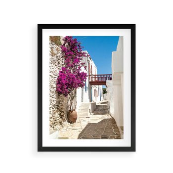 Plakat w ramie 50x70 - Kwiaty Chorwacji - kwiaty, Chorwacja - rama czarna