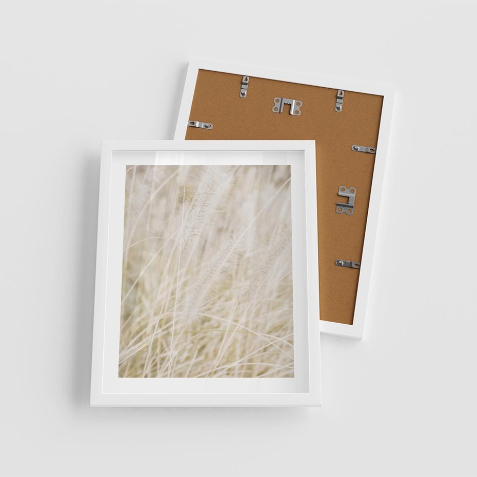 Plakat w ramie 40x50 - Białe Trawy Pampas - suche trawy, białe trawy - rama biała