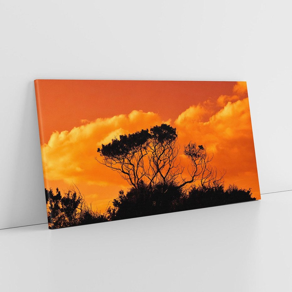 Obraz na płótnie 120x60 - Magiczne Drzewa na Tle Rozległej Sawanny - drzewa, sawanna