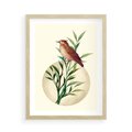 Plakat w ramie 50x70 - Rozkwitająca Delikatność - japońska sztuka, ptak - rama drewno