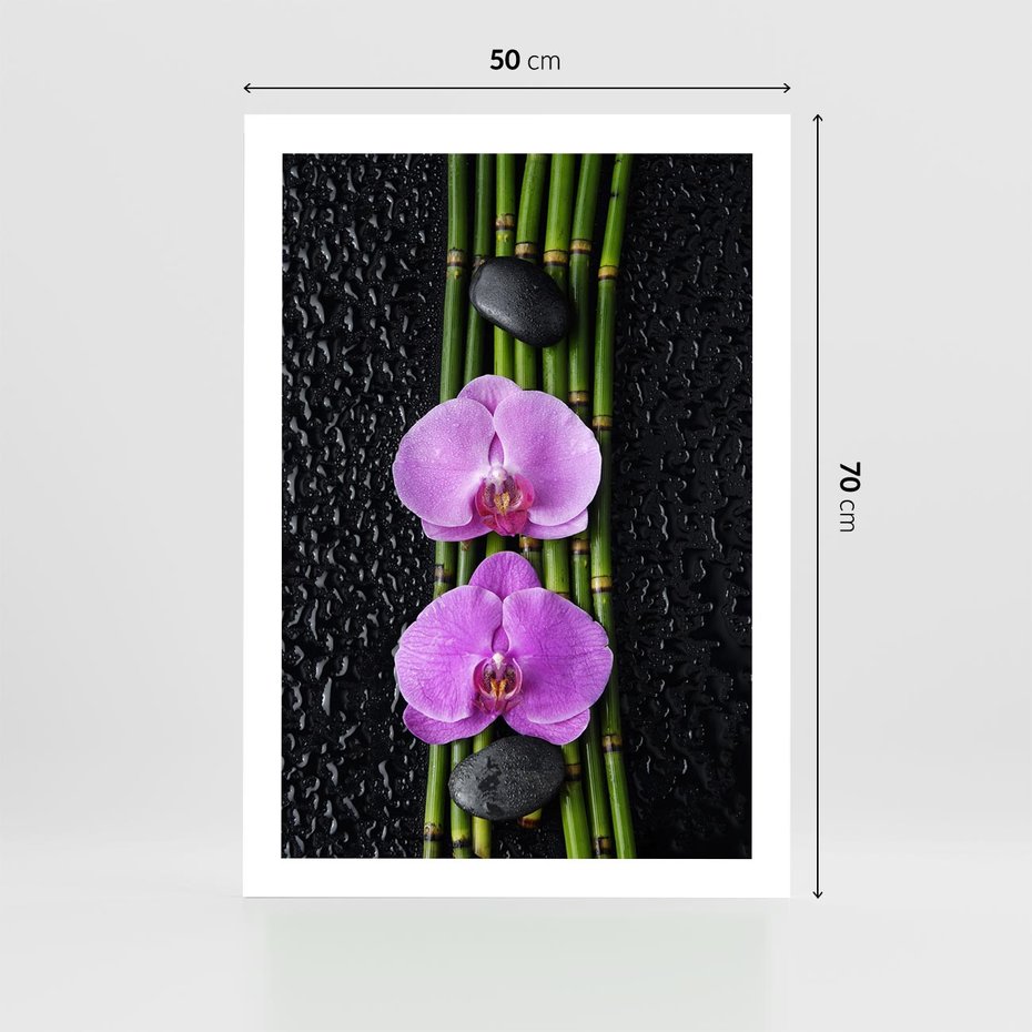 Plakat bez ramy 50x70 - Japońskie Spa w Otoczeniu Storczyków - storczyk, spa