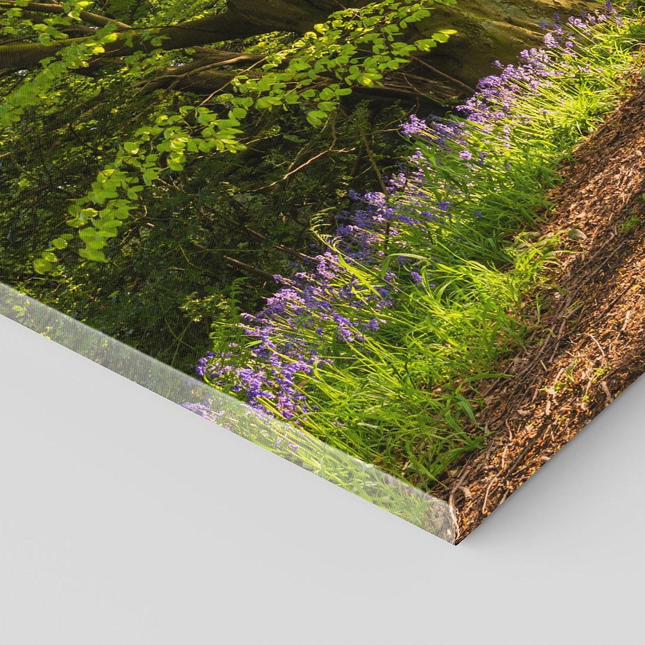 Obraz na płótnie 120x60 - Magia lasu: Drzewa w tajemniczej otoczce - las, drzewa