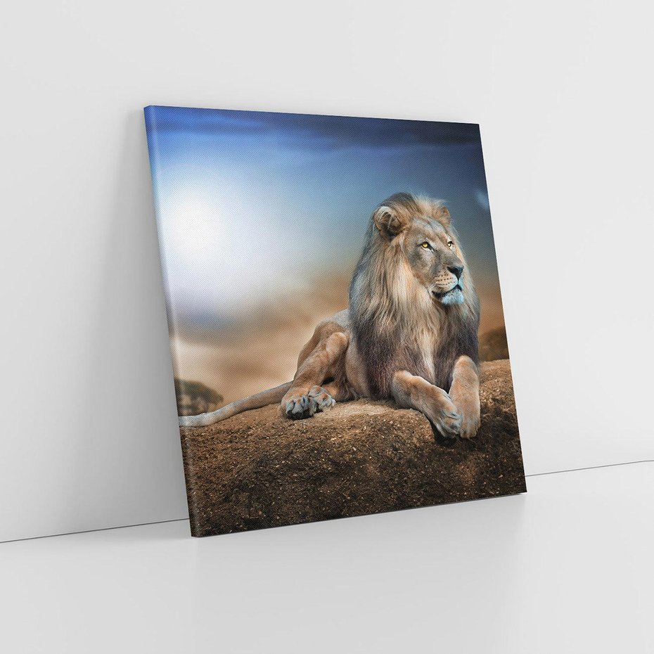 Obraz na płótnie 50x50 - Król sawanny - lew, kamień