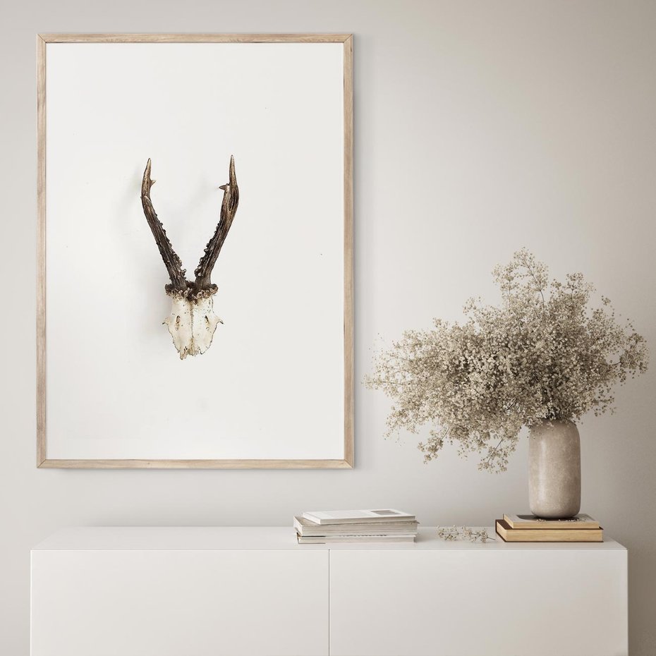 Plakat w ramie 40x50 - Minimalistyczne Poroże Jelenia - poroże jelenia na ścianie, minimalizm - rama drewno