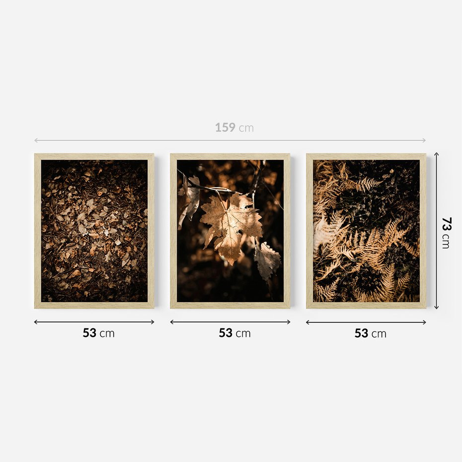Zestaw obrazy w ramie 50x70 galeria - Suche, jesienne, liście, las - rama drewno