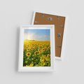 Plakat w ramie 30x40 - Idylla na łące słoneczników - łąka, słoneczniki - rama biała
