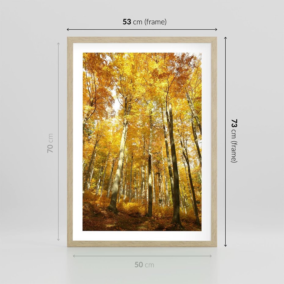 Plakat w ramie 50x70 - Jesienny Las - Kolorowa Paleta Natury - jesień, drzewa - rama drewno