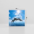 Obraz na płótnie 80x80 - Spotkanie z naturą - morze, delfiny