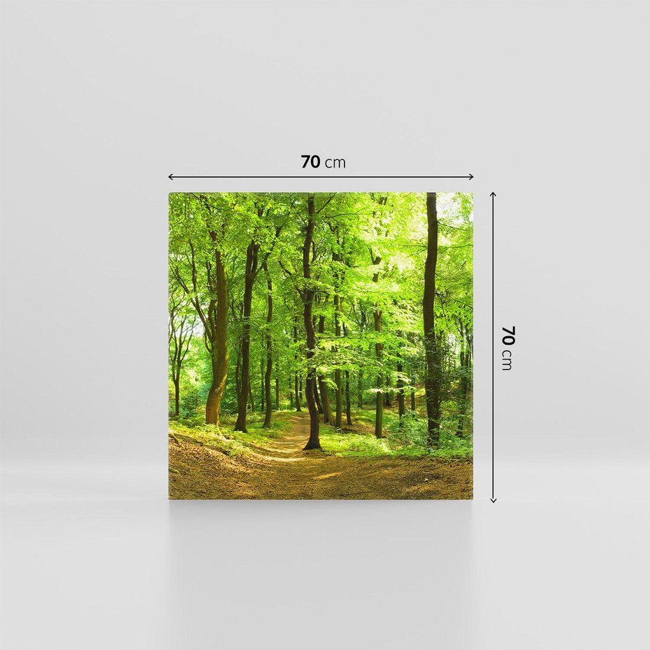 Obraz na płótnie 70x70 - Mistyka leśnych drzew - las, drzewa