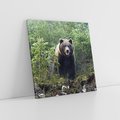 Obraz na płótnie 80x80 - Spotkanie z Niedźwiedziem w Lesie - niedźwiedź, las