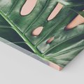 Obraz na płótnie 70x50 - Monstera Liście - monstera, liście