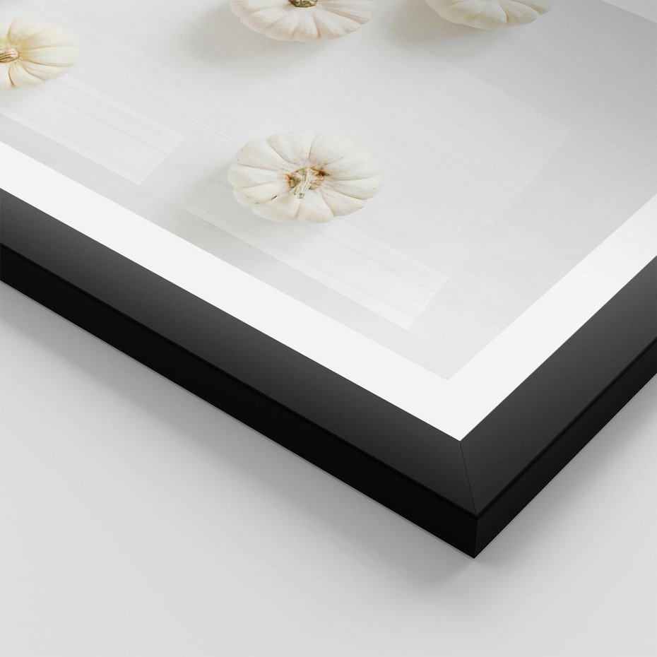 Plakat w ramie 40x50 - Biała Jesień: Dynie na Jasnym Tle - białe dynie, białe tło - rama czarna