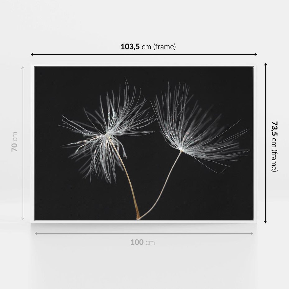 Obraz w ramie 100x70 - Delikatność Wiatru - dmuchawce, makro - rama biała