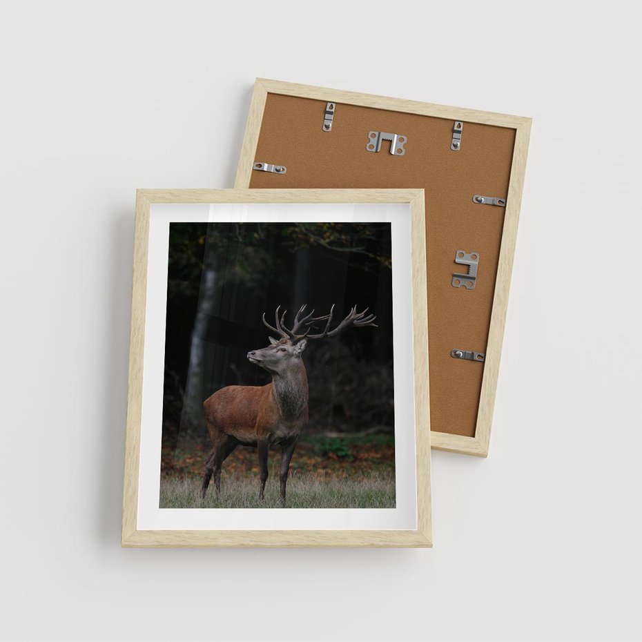 Plakat w ramie 40x50 - Spotkanie z naturą - jeleń, las - rama drewno