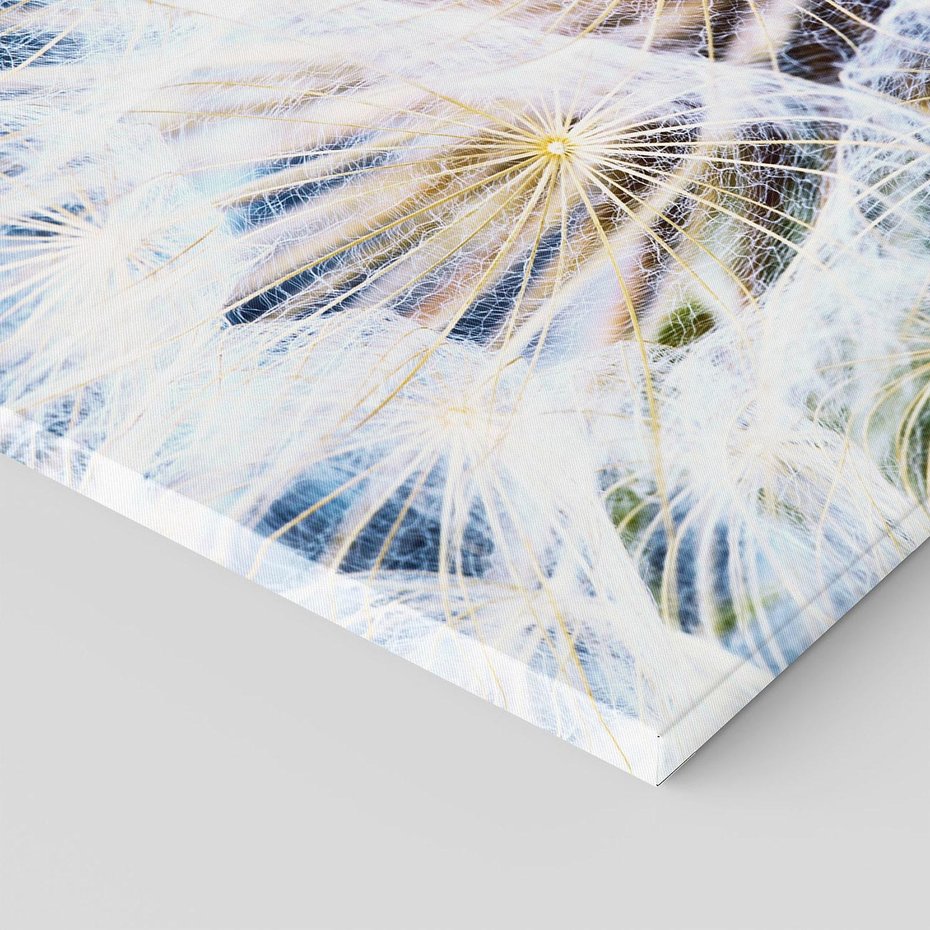 Obraz na płótnie 100x70 - marzenia w locie - dmuchawce, dmuchawiec