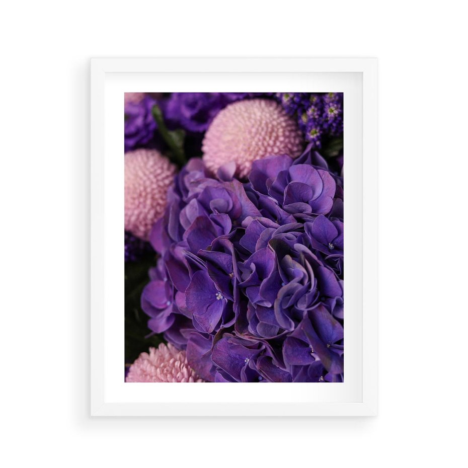 Plakat w ramie 40x50 - Fioletowa hortensja - kwiaty, hortensja - rama biała