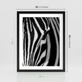 Plakat w ramie 40x50 - Pasy Zebr - zebra, paski - rama czarna