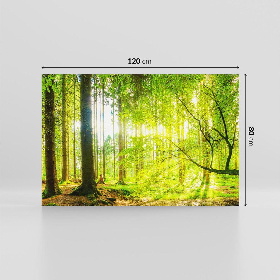 Obraz na płótnie 120x80 - Las w pełnym rozkwicie - las, drzewa