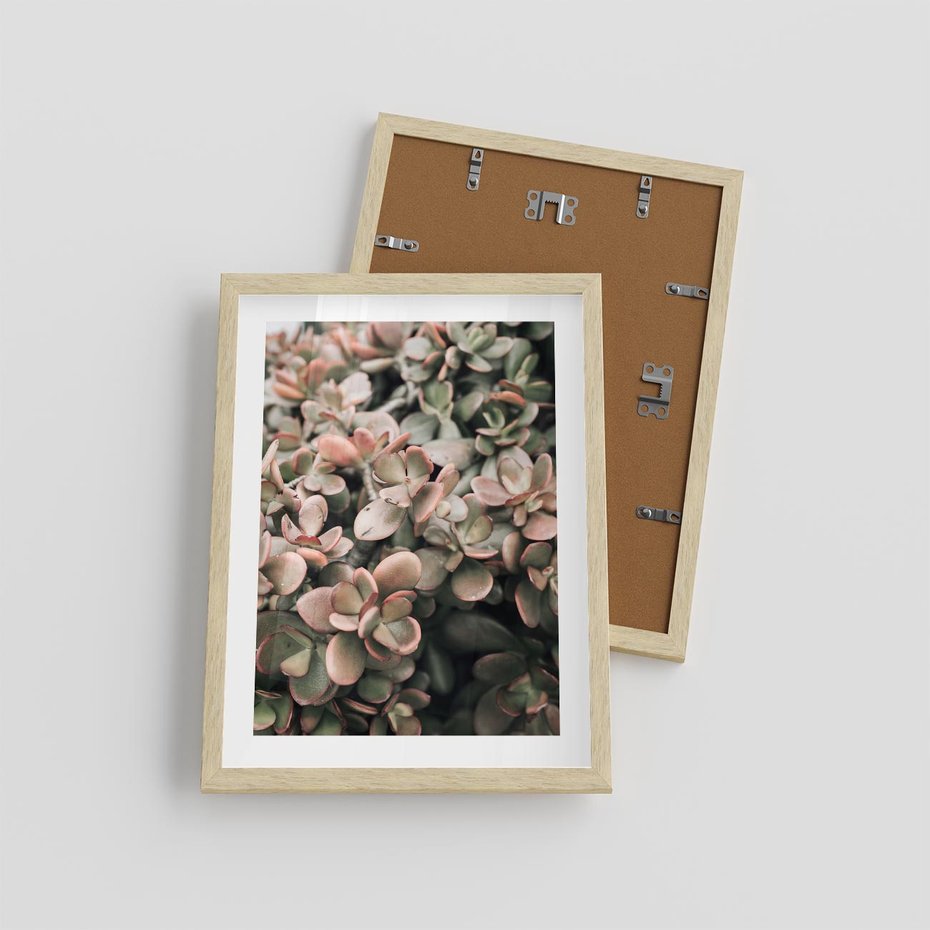 Plakat w ramie 30x40 - Sukulentowa Prostota - sukulenty, zielone liście - rama drewno