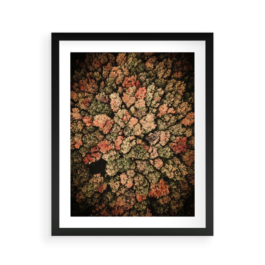 Plakat w ramie 40x50 - Jesień z Lotu Ptaka: Malowniczy Las - las jesienią z lotu ptaka - rama czarna