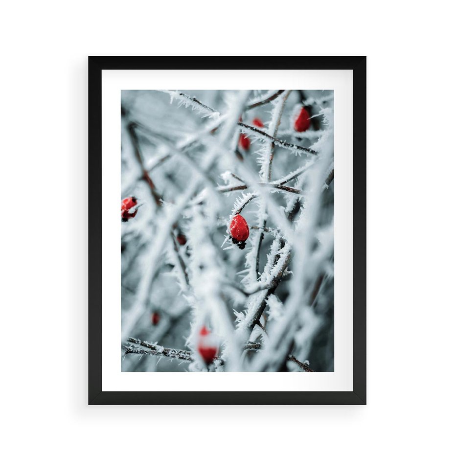 Plakat w ramie 40x50 - Zima na Gałęziach - zima, oszronione gałęzie - rama czarna