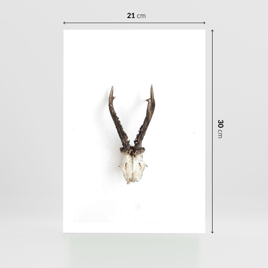 Plakat bez ramy 21x30 - Minimalistyczne Poroże Jelenia - poroże jelenia na ścianie, minimalizm