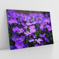 Obraz na płótnie 120x80 - Kwiatowe uniesienia magia natury - kwiat, kwiaty