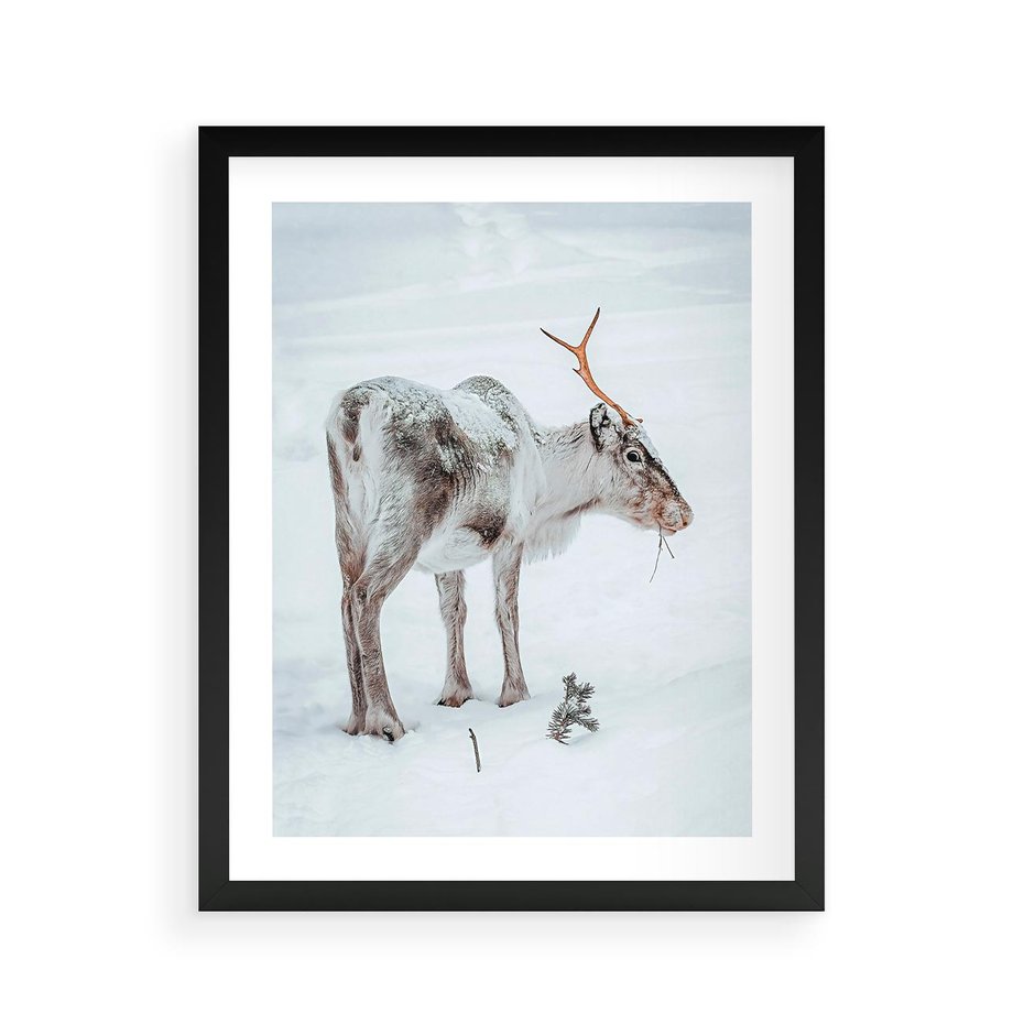 Plakat w ramie 40x50 - Magia Świąt - renifer na śniegu, śnieg - rama czarna