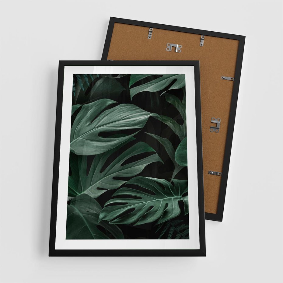 Plakat w ramie 50x70 - Zielone Liście Monstery w Dżungli - zielone liście monstery, dżungla - rama czarna
