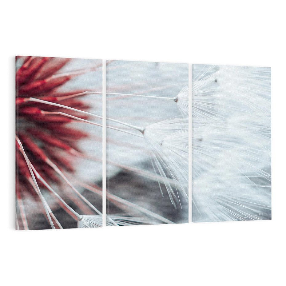 Obraz na płótnie 120x80 - Makro świat dmuchawca - dmuchawiec, makro