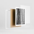 Plakat w ramie 30x40 - Kontrast Monochromatyczny - brzozy, czarno - rama biała