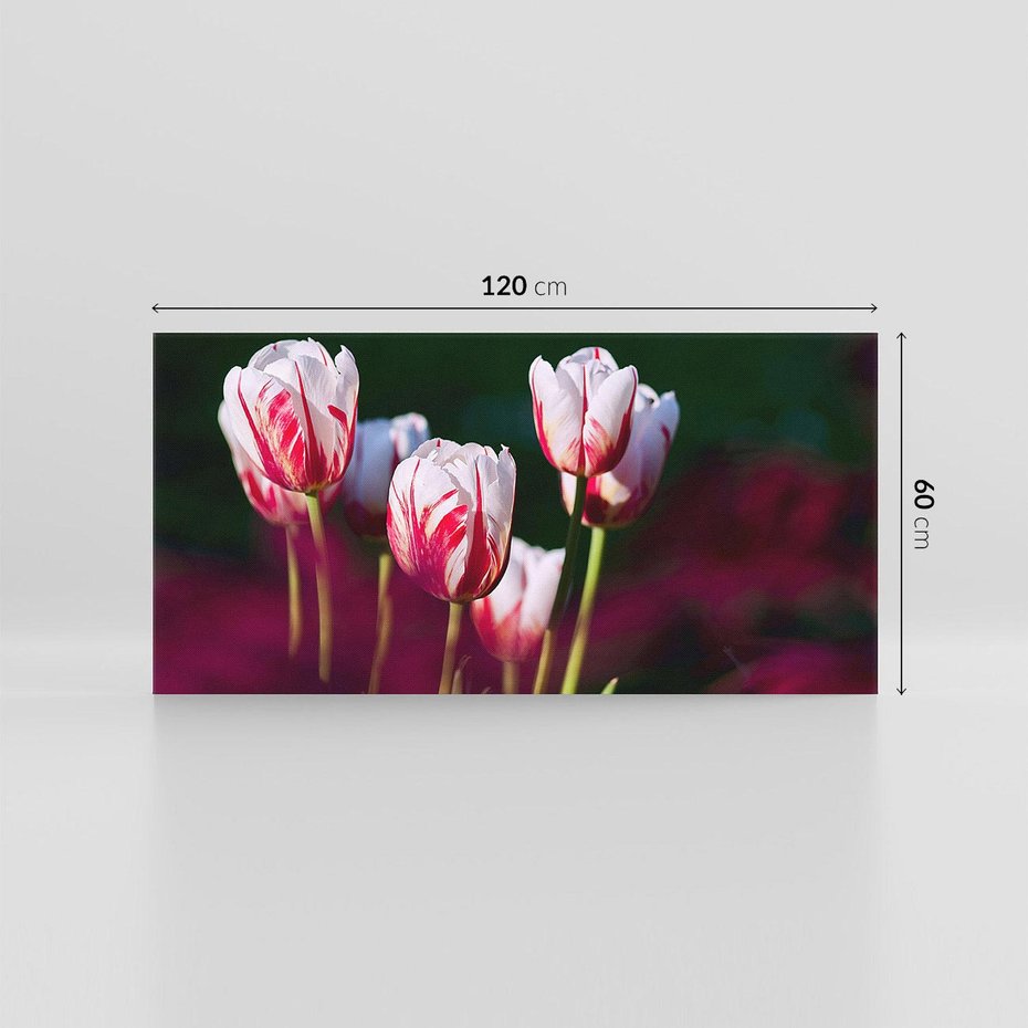 Obraz na płótnie 120x60 - Kwiatowy raj w naturze - kwiat, kwiaty