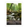 Plakat bez ramy 21x30 - Strumyk w lesie - strumyk, w lesie