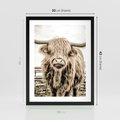 Plakat w ramie 30x40 - Klimat Wiejskiego Życia - amerykańska krowa, byk - rama czarna