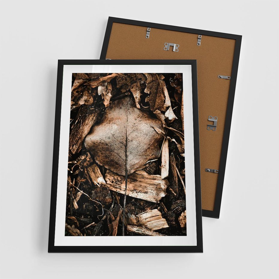 Plakat w ramie 50x70 - Samotny Liść - liść, brąz - rama czarna