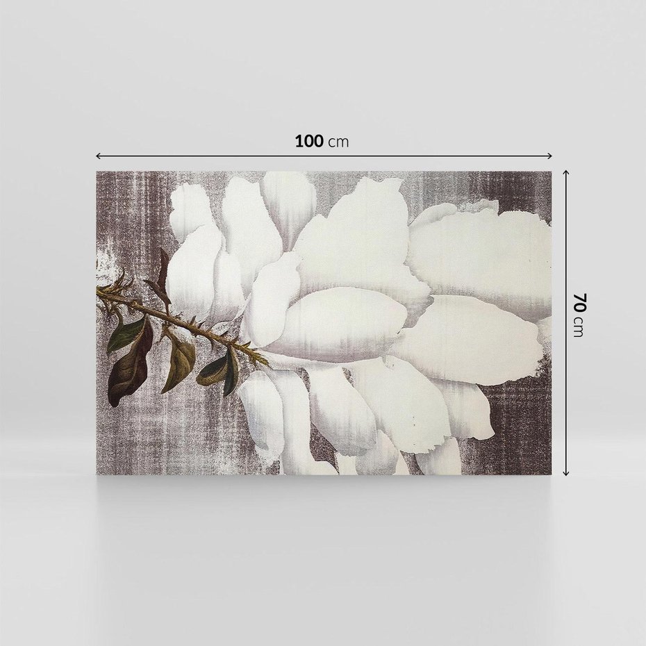 Obraz na płótnie 100x70 - Tekstura Kwiatu - białe kwiaty, duży kwiat