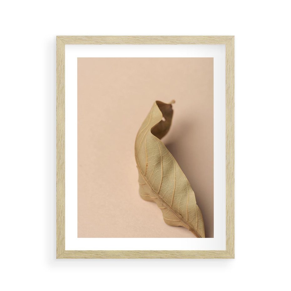 Plakat w ramie 40x50 - Boho suszone liście - suszony, liść - rama drewno