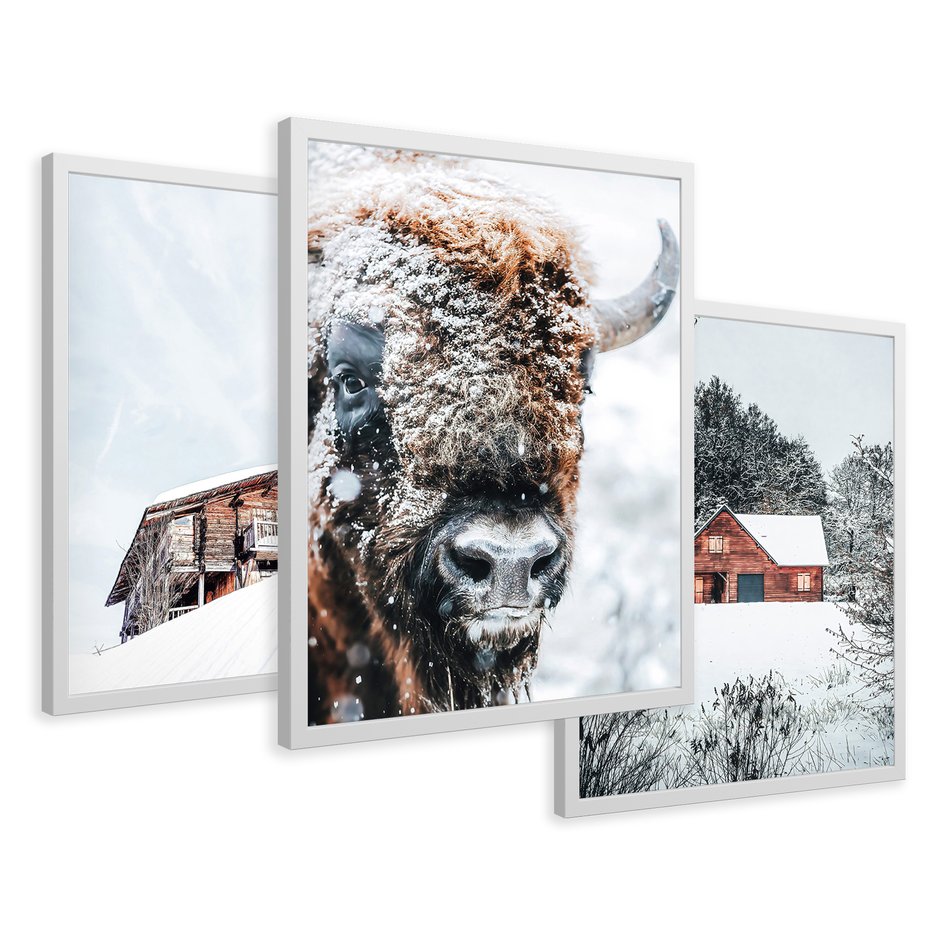 Zestaw obrazy w ramie 50x70 galeria - Zima, bizon, góry, śnieg - rama biała
