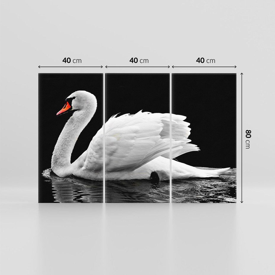 Obraz na płótnie 120x80 - Delikatne Uderzenie Skrzydeł Łabędzia - łabędź, ptak