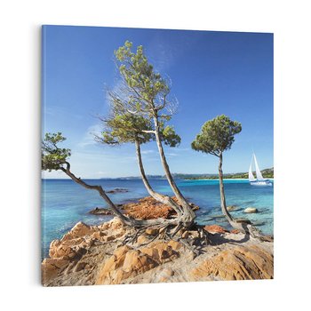 Obraz na płótnie 40x40 - Korsyka - morze i drzewa - Korsyka, morze